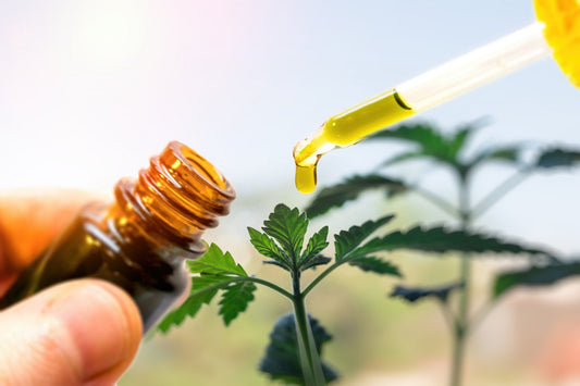 This is How to Safely Use CBD Oil for Your Medication Treatment