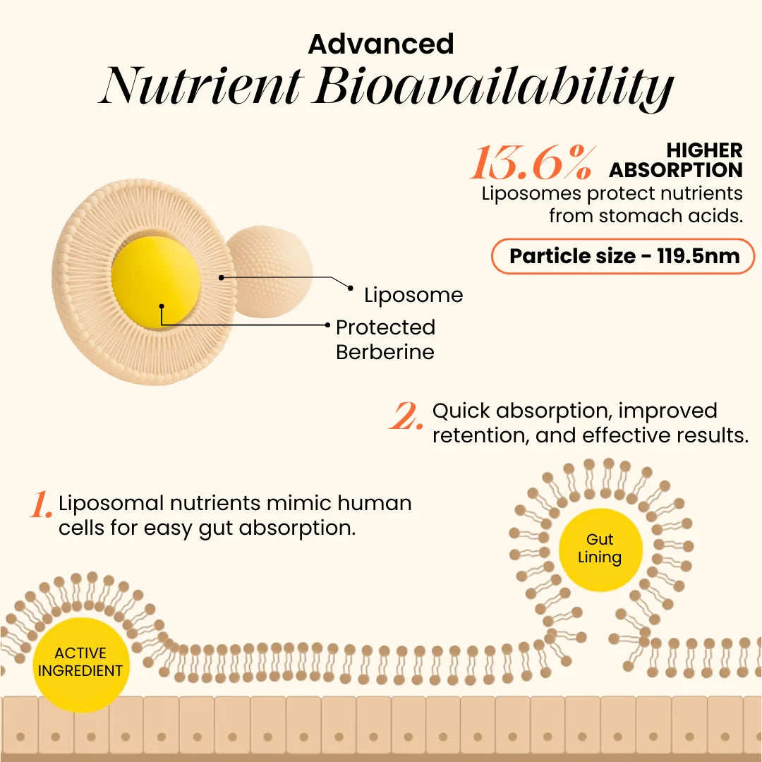 CANNAZO- Liposomal Berberine 98% HCL+