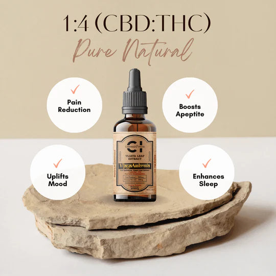 Cannazo - Vijaya Ambrosia THC Rich oil