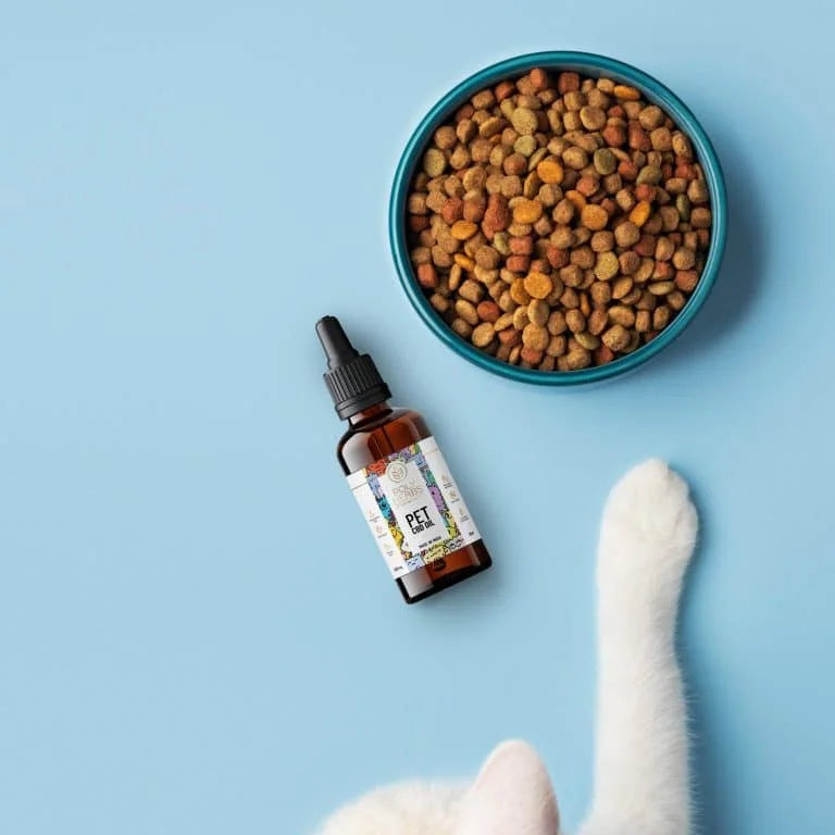 PolyHerbs CBD Oil for Pets