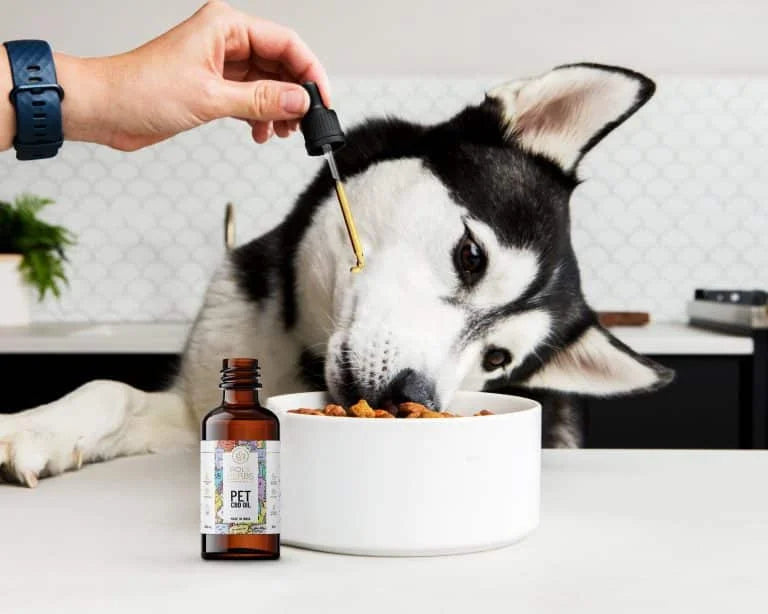 PolyHerbs CBD Oil for Pets