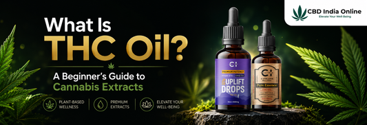 What Is THC Oil? A Beginner’s Guide to Cannabis Extracts