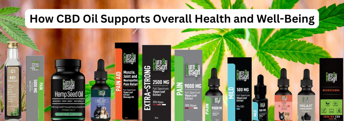 How CBD Oil Supports Overall Health and Well-Being