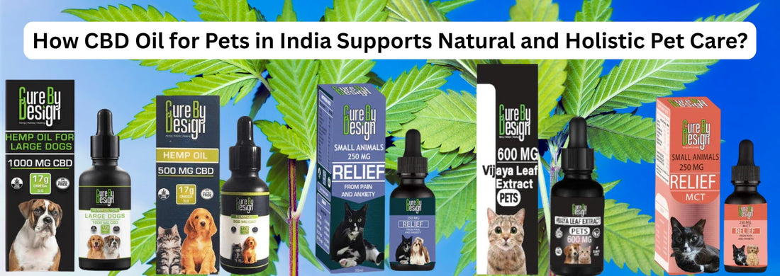 How CBD Oil for Pets in India Supports Natural and Holistic Pet Care?