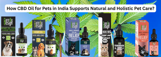 How CBD Oil for Pets in India Supports Natural and Holistic Pet Care?