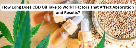How Long Does CBD Oil Take to Work? Factors That Affect Absorption and Results?