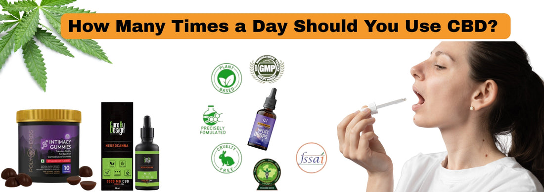 How Many Times a Day Should You Use CBD?