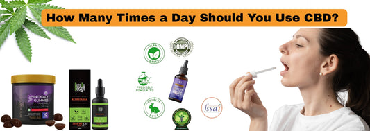 How Many Times a Day Should You Use CBD?