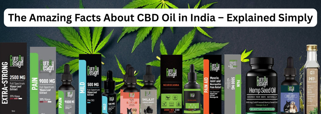 The Amazing Facts About CBD Oil in India – Explained Simply