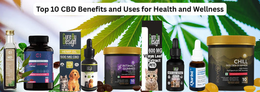 Top 10 CBD Benefits and Uses for Health and Wellness