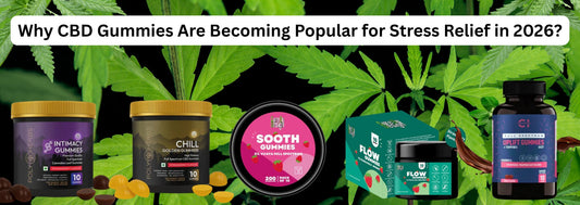 Why CBD Gummies Are Becoming Popular for Stress Relief in 2026?