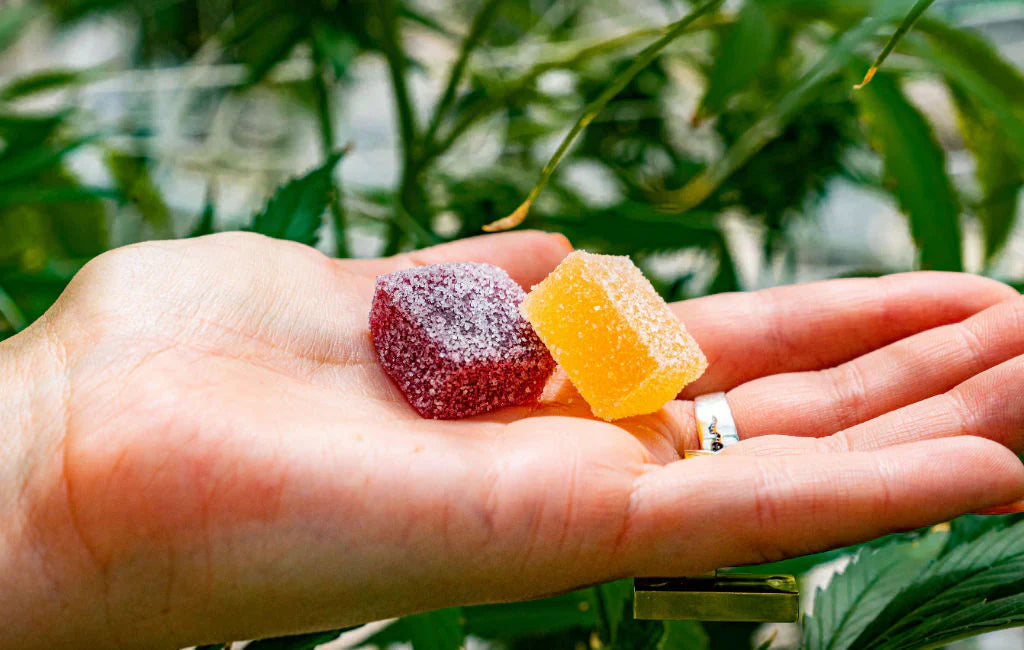 Discover the Power of CBD Gummies for Stress Relief and Wellness in India