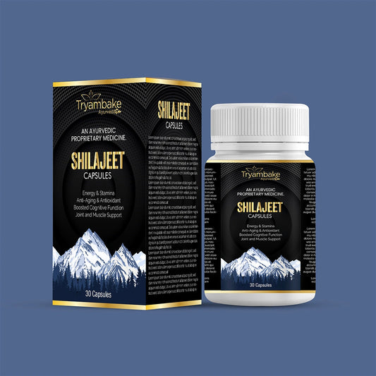 Tryambake Ayurveda Shilajit Capsule
