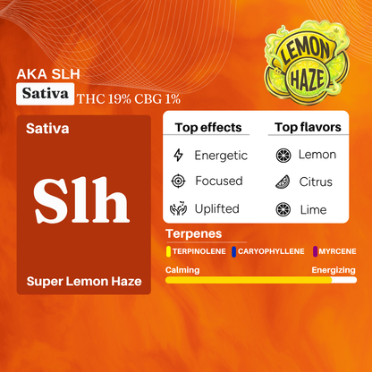 Cannazo-Super Lemon Haze Uplift Pen (Full Spectrum THC Extract Syringe) Golden Extract