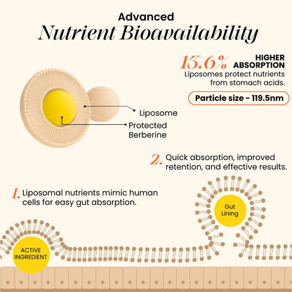 CANNAZO- Liposomal Berberine 98% HCL+