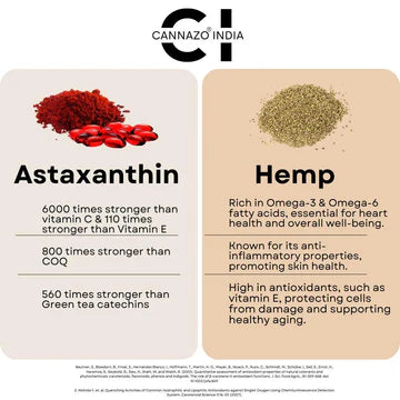 AstaZen – Softgel (Continuity Hemp Seed Oil + Astaxanthin)