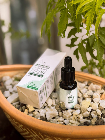 CannaMed Vijaya Oil 