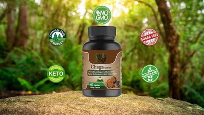 Cure By Design - Chaga Mushroom Capsules| Daily Antioxidant Support for Energy & Wellness