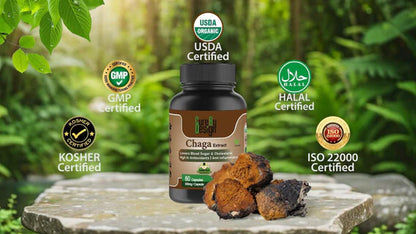 Cure By Design - Chaga Mushroom Capsules| Daily Antioxidant Support for Energy & Wellness