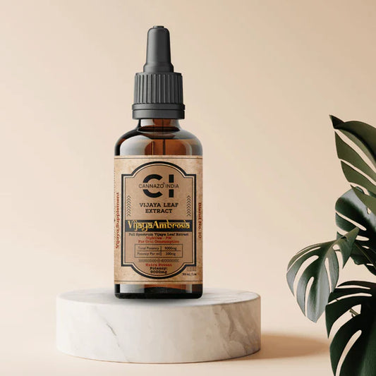 Cannazo - Vijaya Ambrosia THC Rich oil 
